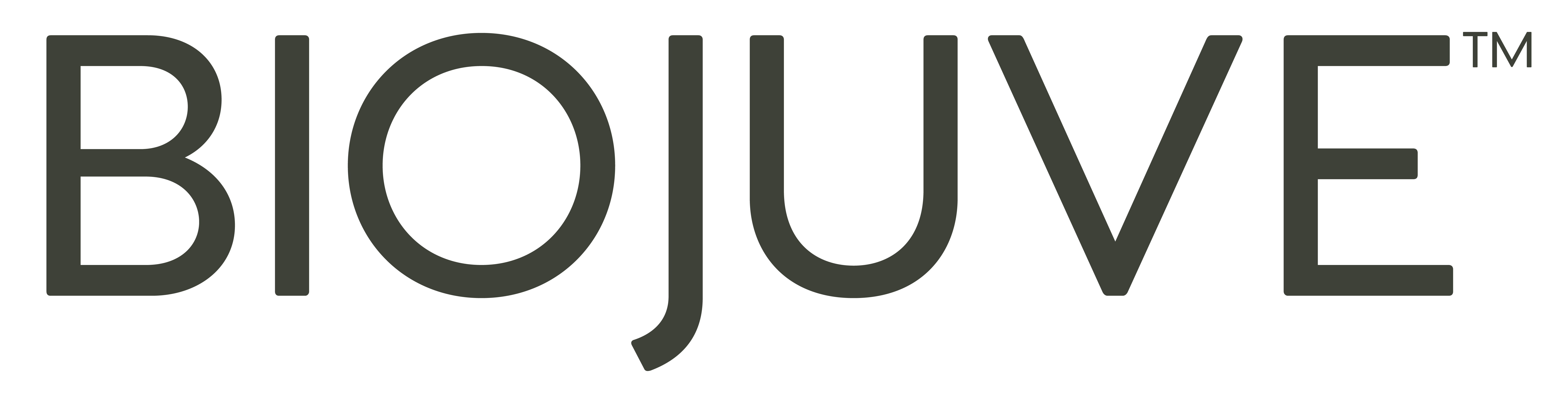 Biojuve wordmark slate rgb